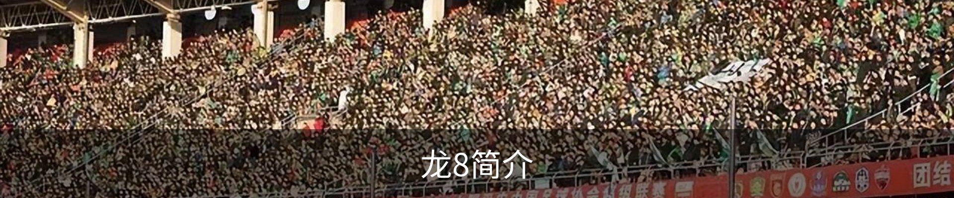 龙8简介