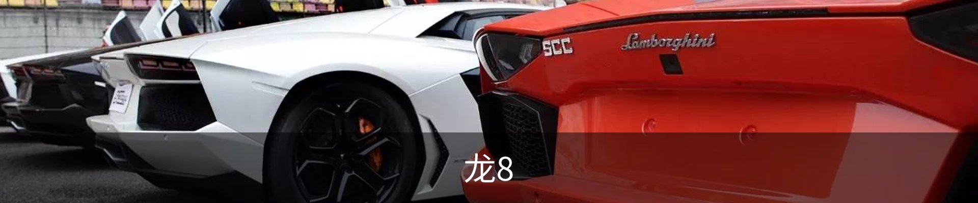龙8